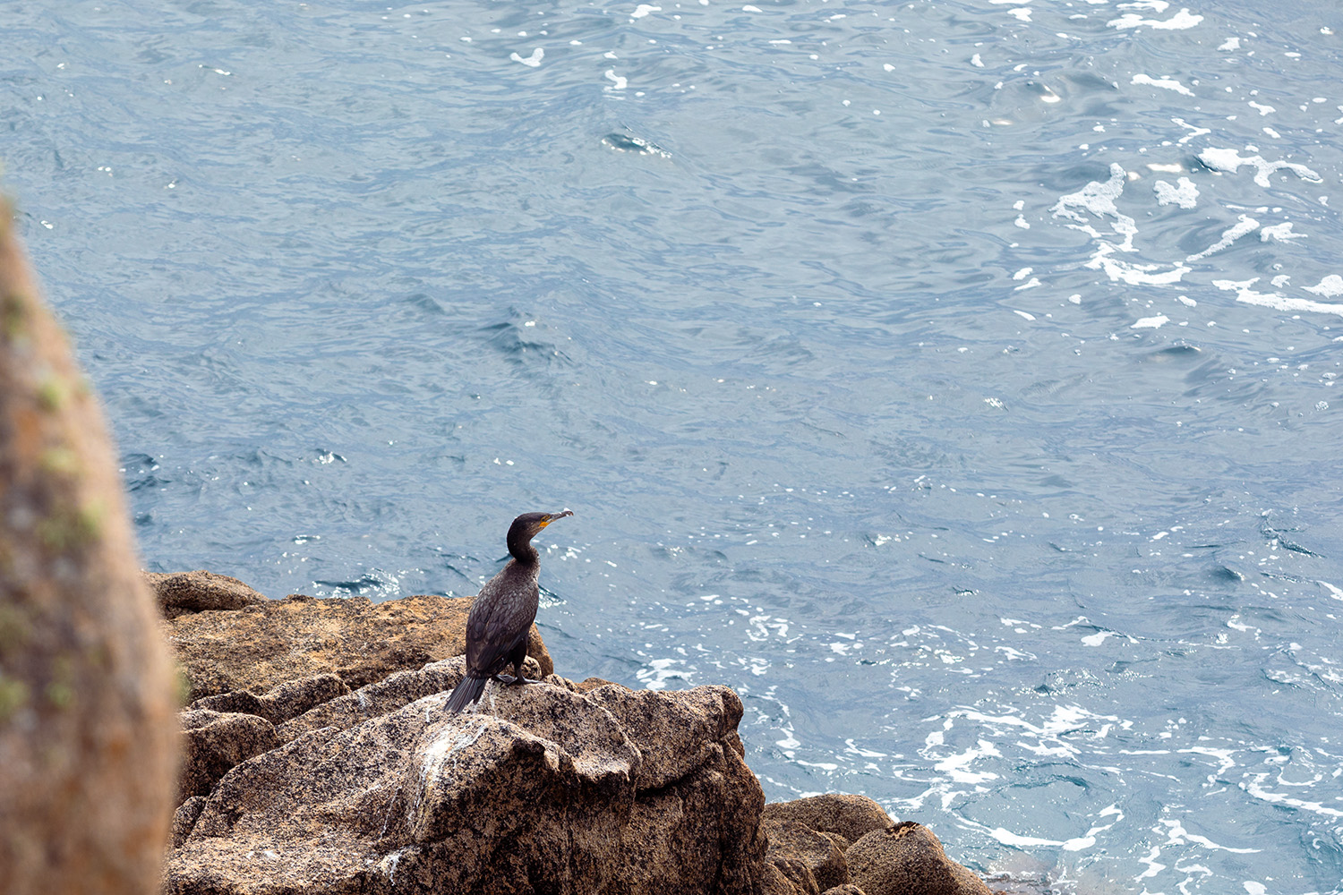 Ouessant, France, July 29, 2023