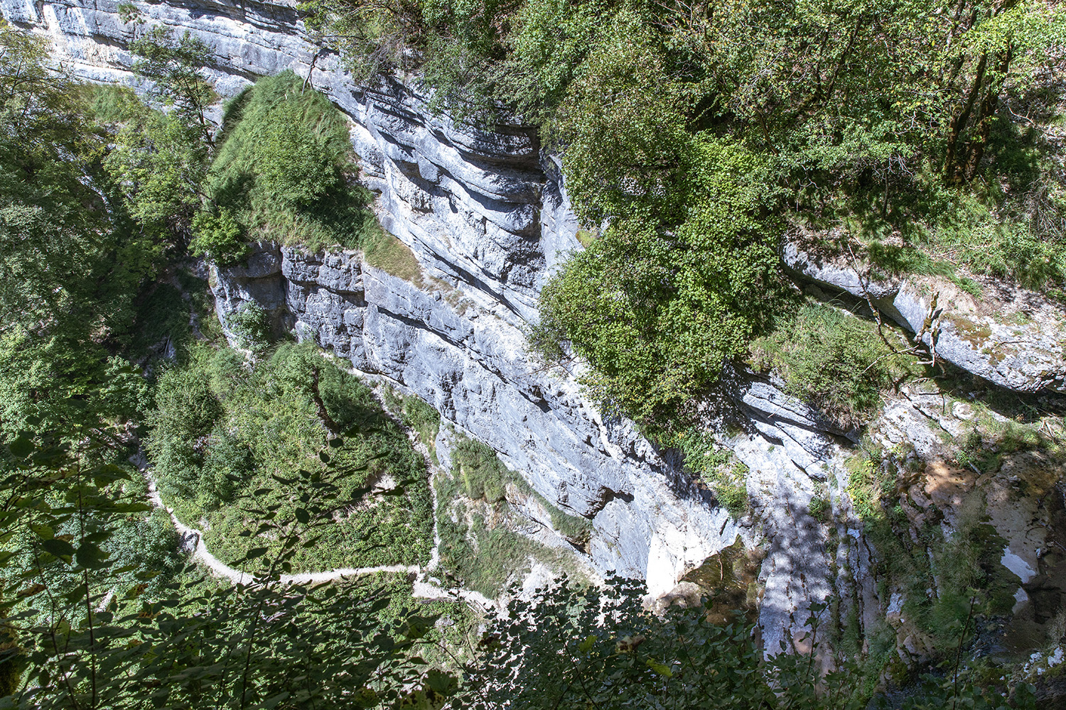Ménétrux-en-Joux, France, August 20, 2023