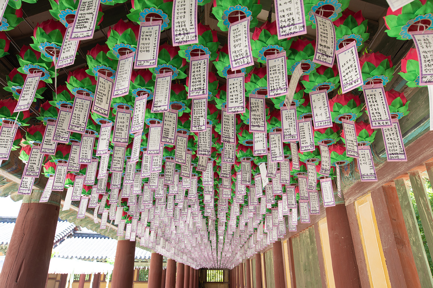경주 (Gyeongju), South Korea, July 31, 2024