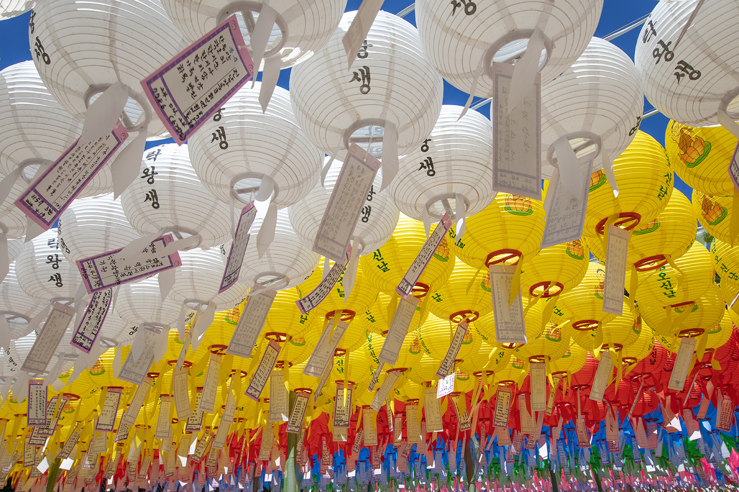 경주 (Gyeongju), South Korea, July 31, 2024