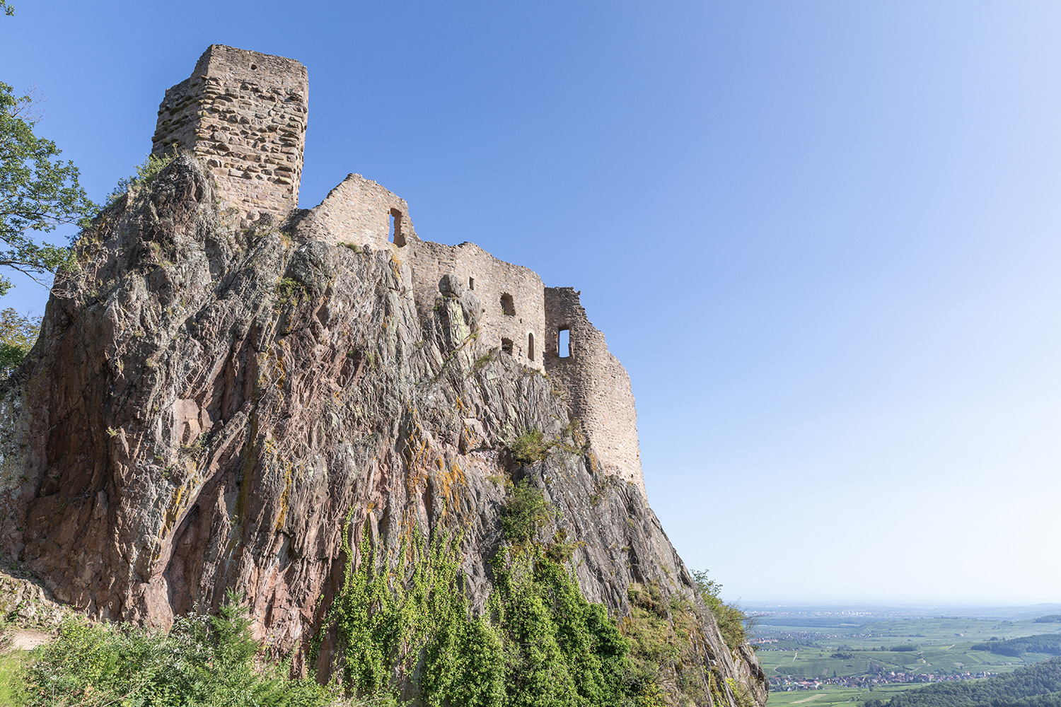 Ribeauvillé, France, August 22, 2024