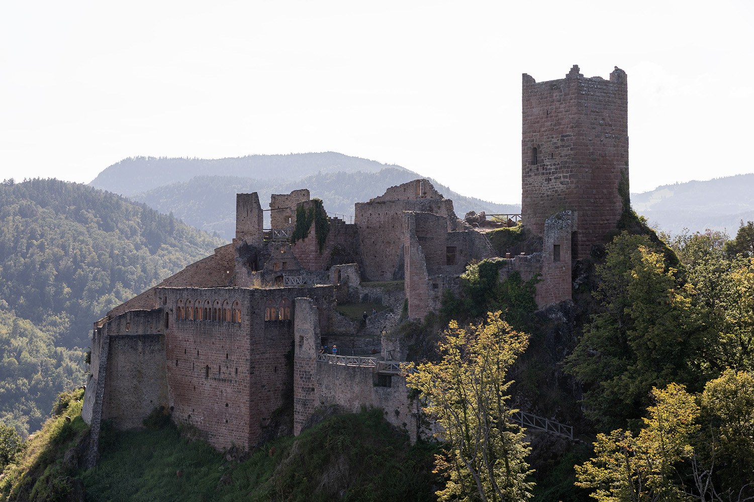 Ribeauvillé, France, August 22, 2024