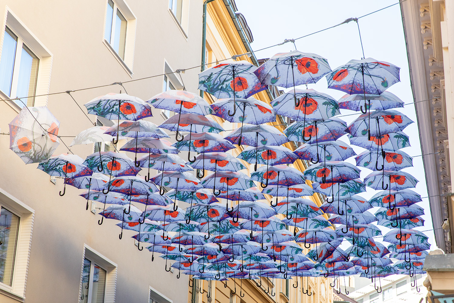 Bratislava, Slovakia, August 25, 2025